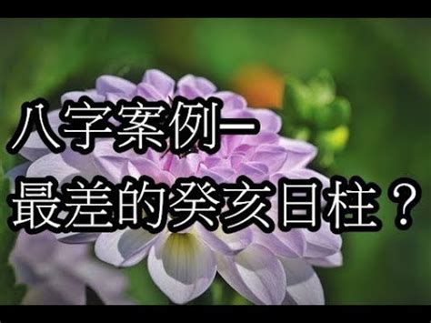 癸亥日女|癸亥日详解